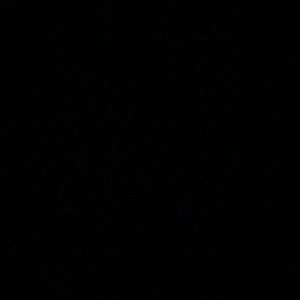 Meet your Posher, Haleigh